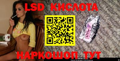 шишки Новозыбков