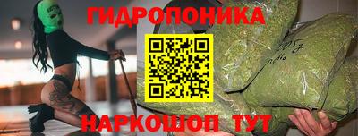 шишки Новозыбков
