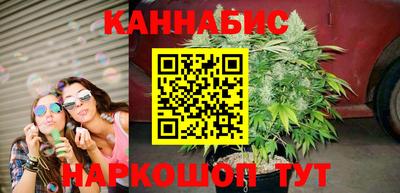шишки Новозыбков