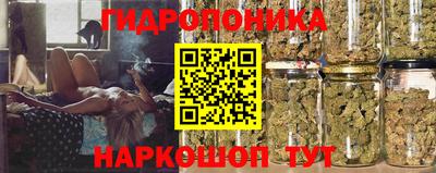 альфа пвп Новокубанск