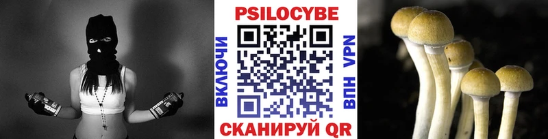 Псилоцибиновые грибы Psilocybe  Сухой Лог 